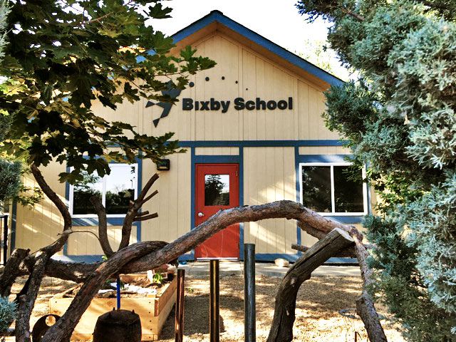 Read more about the article Grateful For Bixby
