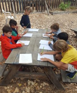 Read more about the article Building Classroom Environment – 3rd Grade Interviews