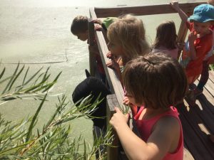 Read more about the article Discovering Boulder’s Bridgewalk Pond