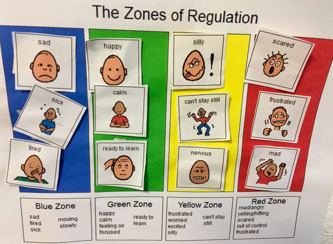 Read more about the article The Zones