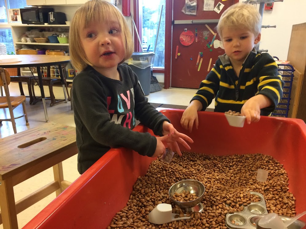 Read more about the article Full of Beans: Fun at the Sensory Table