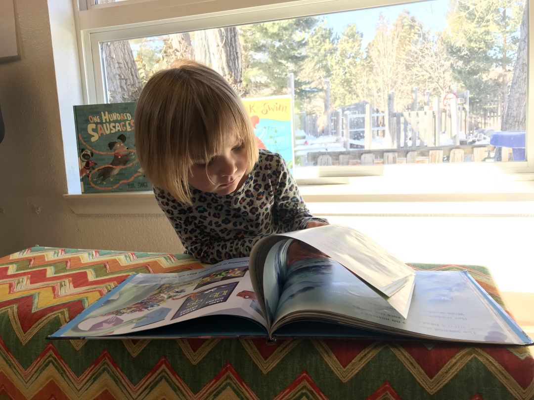 Read more about the article Nurturing A Love Of Reading In The Preschool Classroom