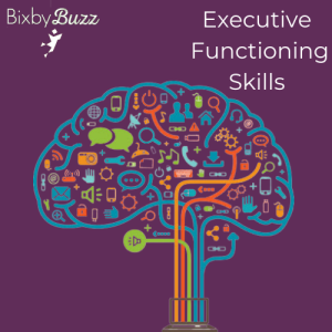 Read more about the article Executive Functioning Skills